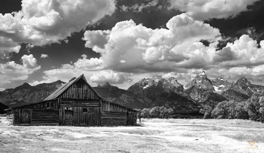 Mormon Row Barn