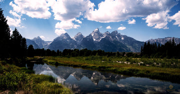 Reflection on Snake River