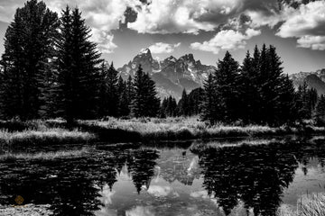 Schwabacher Landing Black and white: Limited Edition.