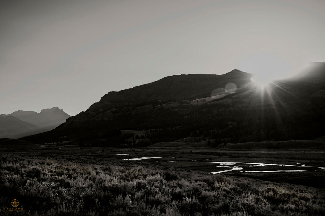 Sunrise Near Northeast Entrance: Black and White