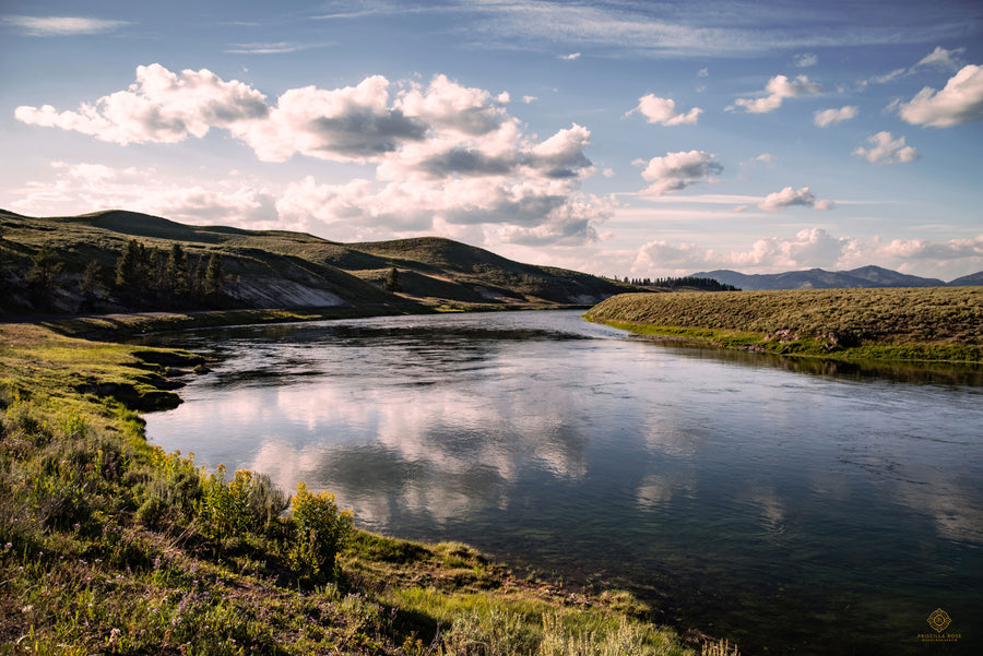 Yellowstone River at Hayden Valley