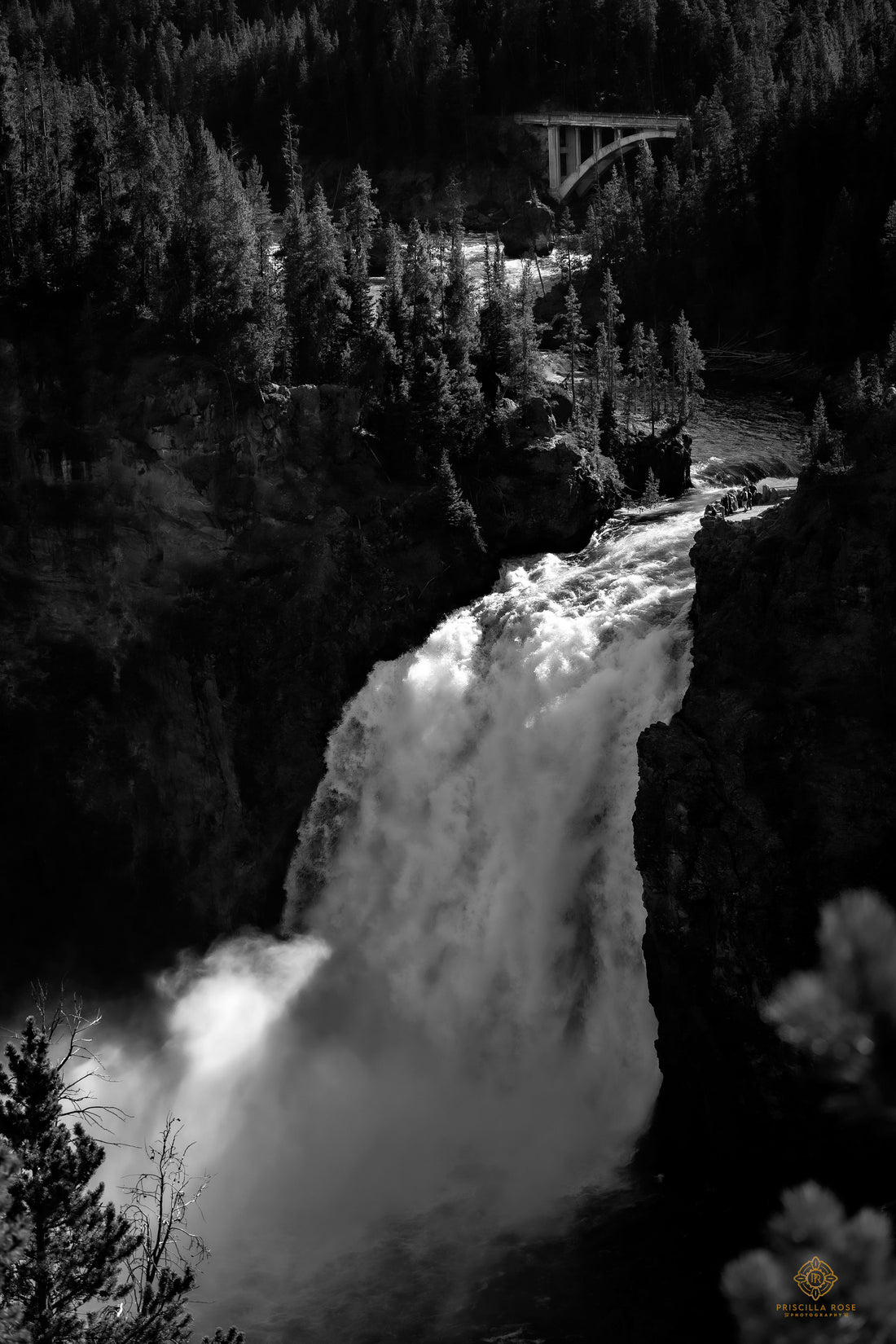 Upper Falls of Yellowstone River B&W