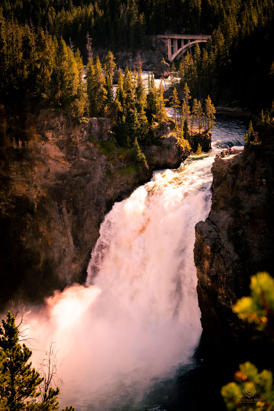 Upper Falls of Yellowstone River