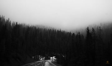 A Foggy Yellowstone Morning Alternate