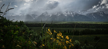 A Foggy Mountain Day