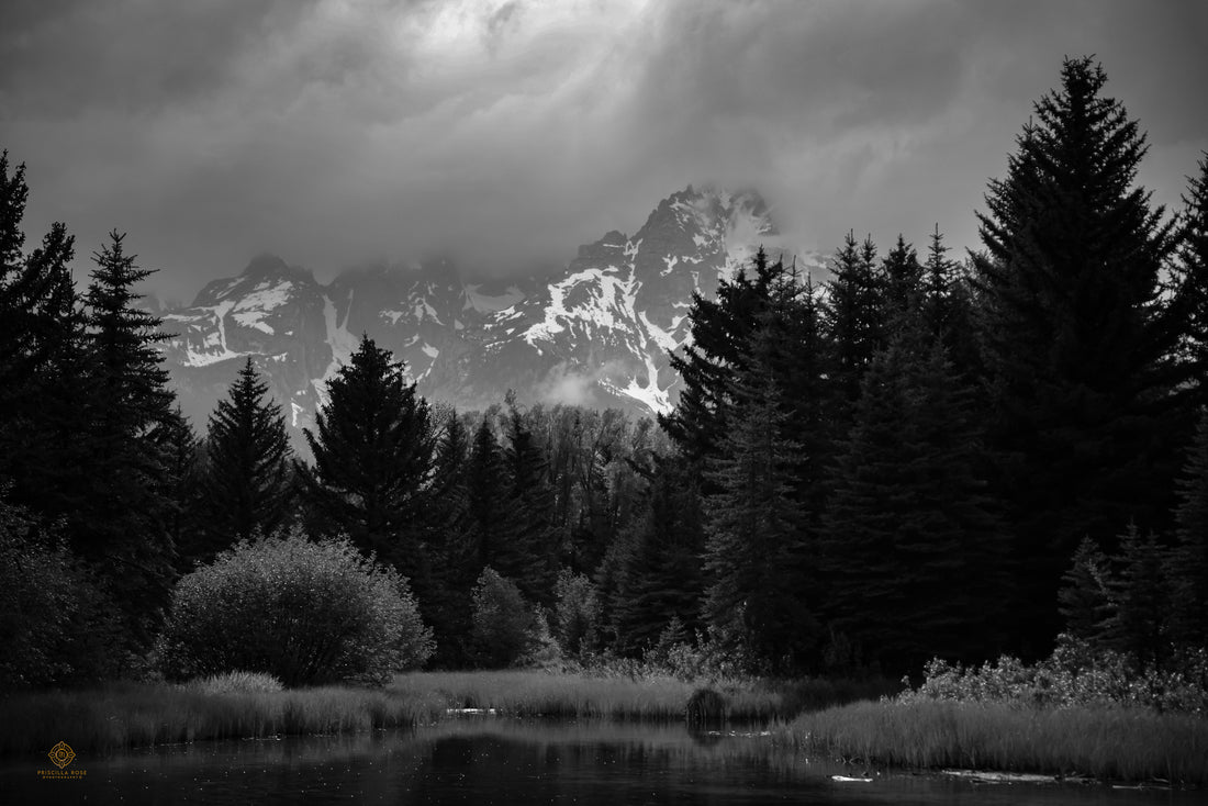 Fog Over the Tetons