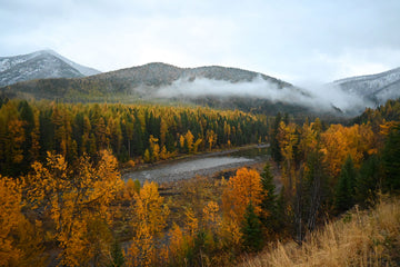 A Golden Glacier Landscape