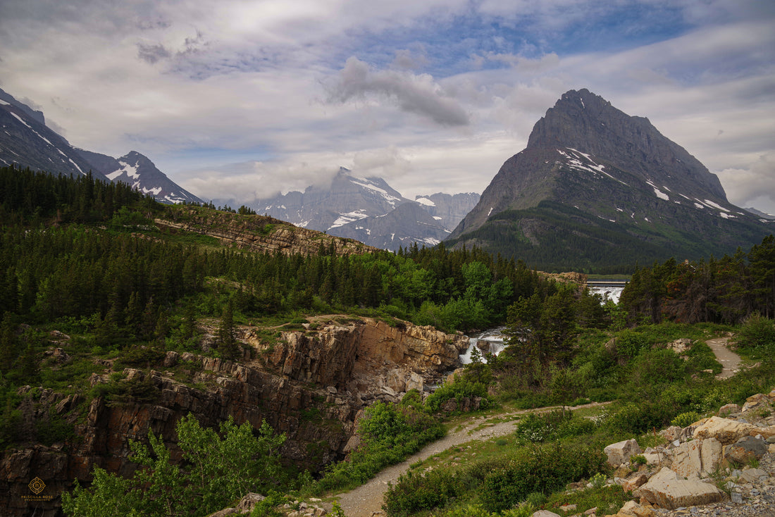 Many Glacier Beauty