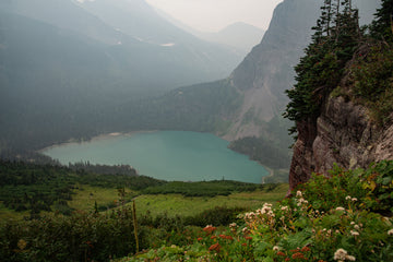 Wildflowers at Grinnell Lake Overlook